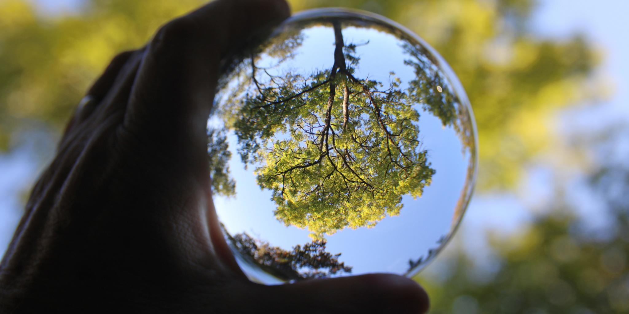 glasbaum_by_Christiane_Raabe_pfarrbriefservice