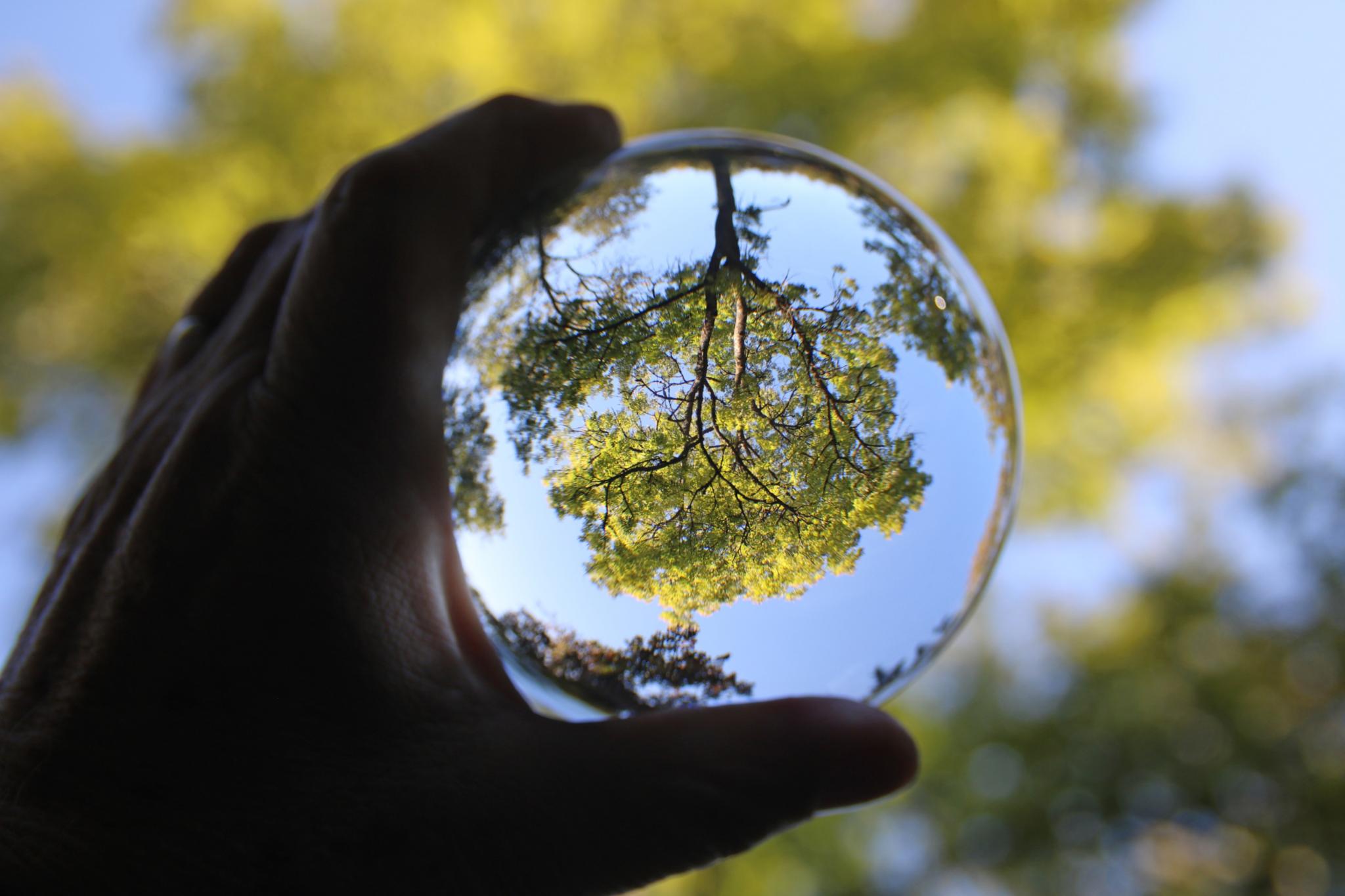 glasbaum_by_Christiane_Raabe_pfarrbriefservice