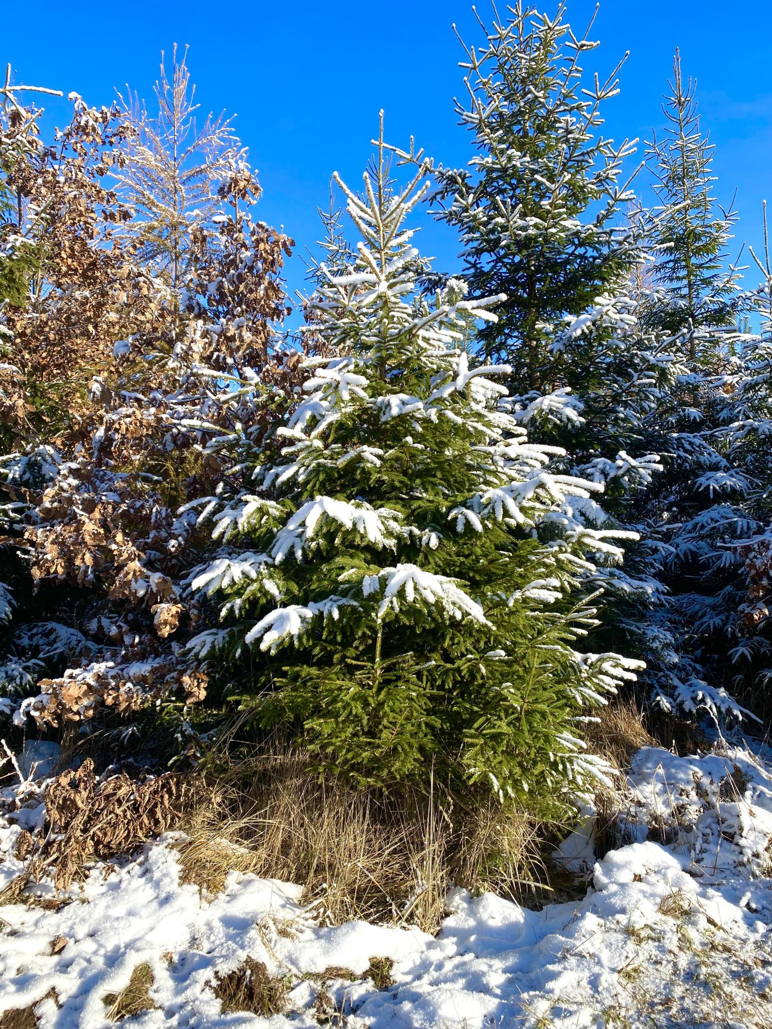 img_5035_by_Sylvio_Krueger_pfarrbriefservice