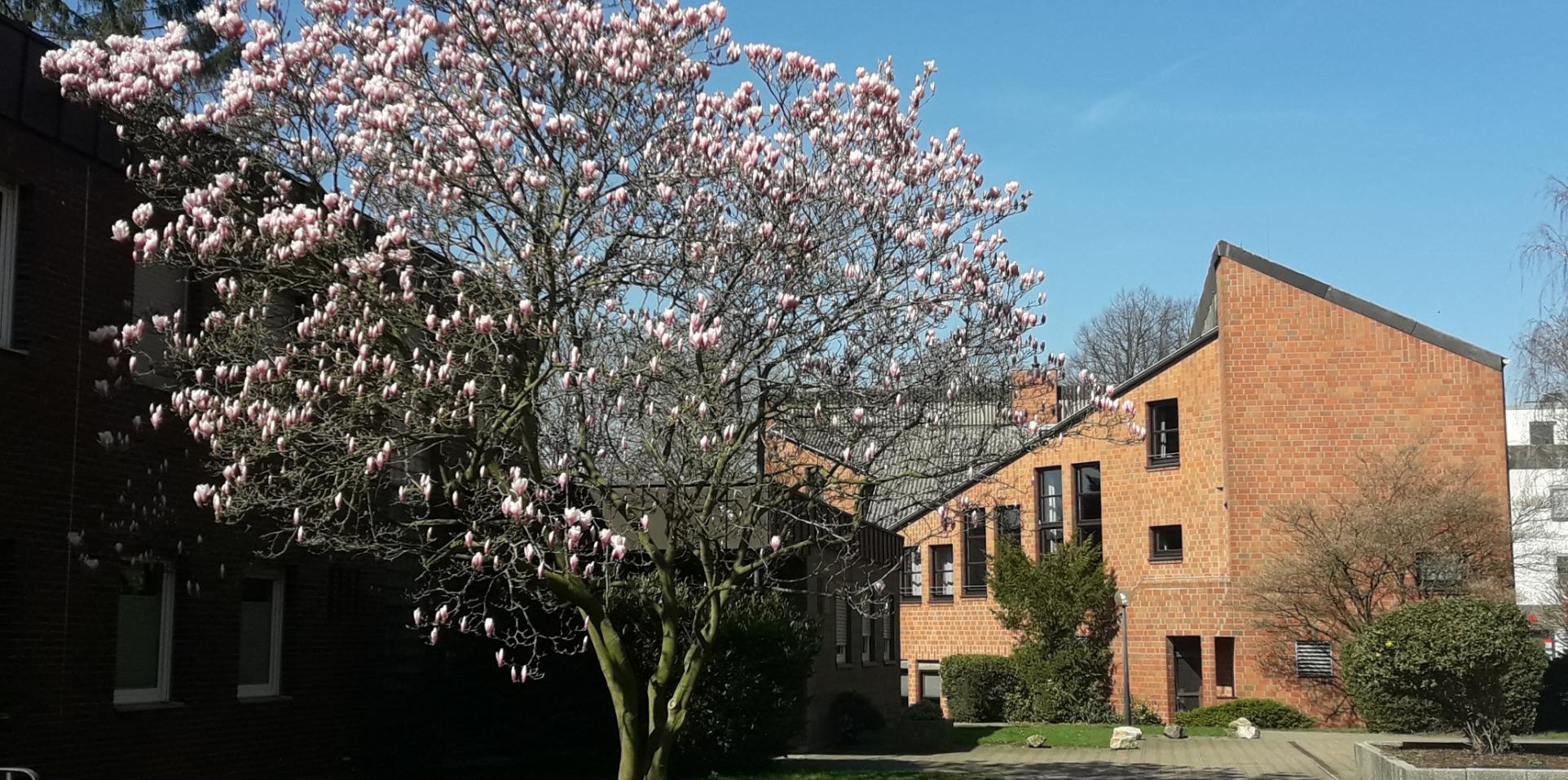 Pfarrhaus und-heim in Windberg