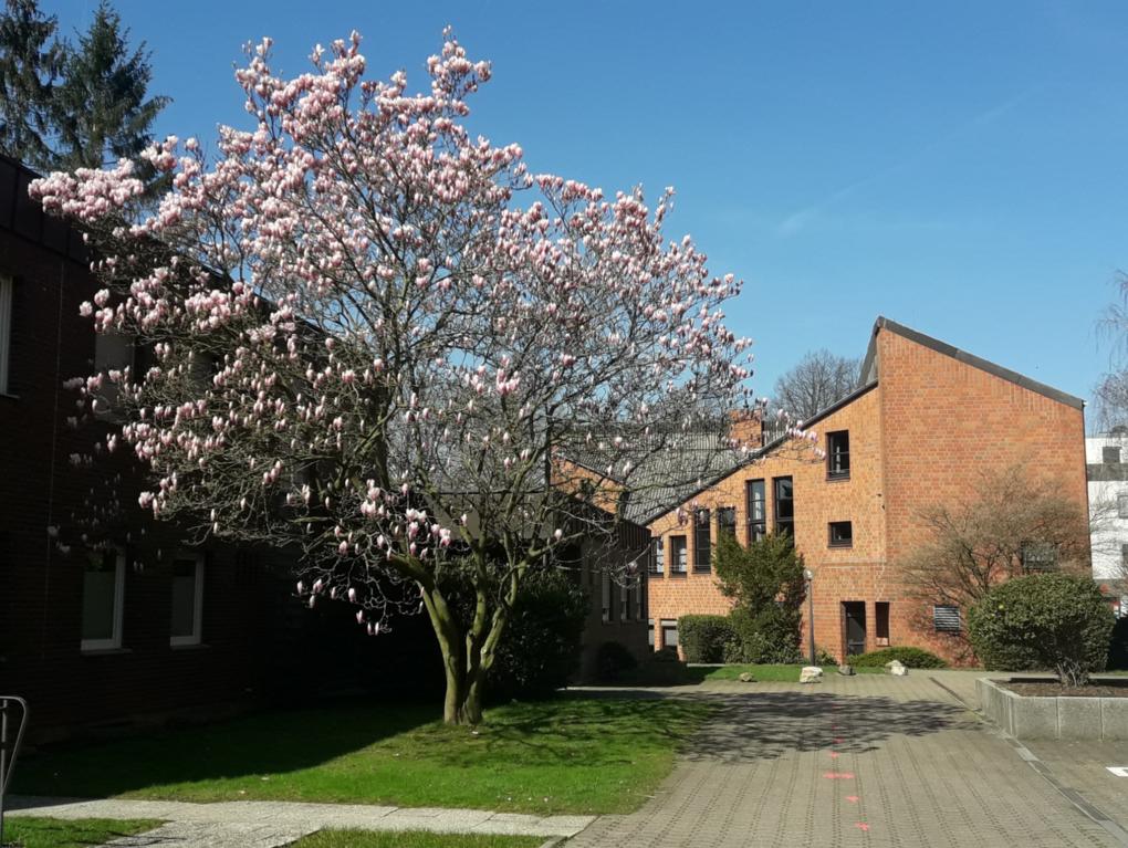 Pfarrhaus und-heim in Windberg