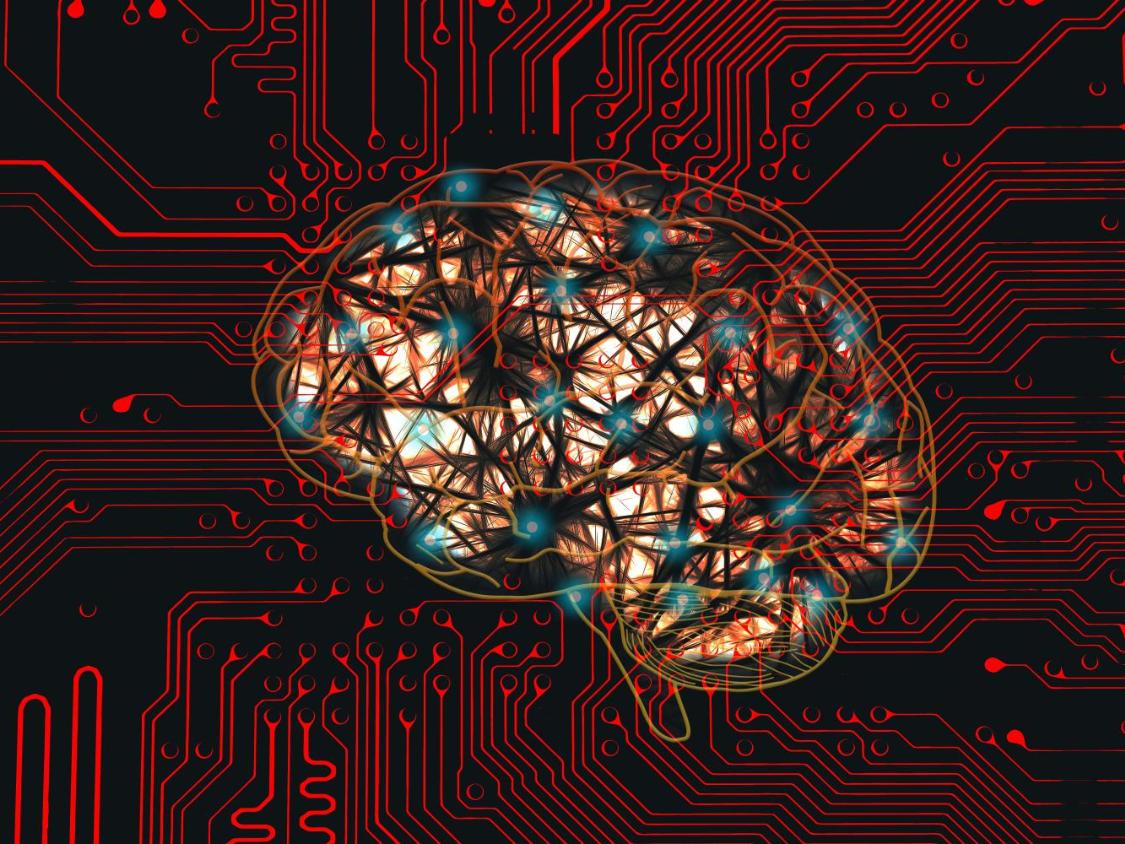 network-9210512_by_geralt_pixabay_pbs