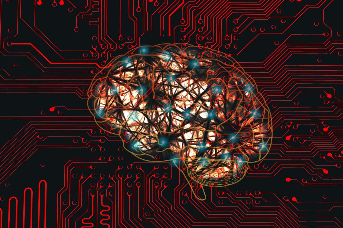 network-9210512_by_geralt_pixabay_pbs