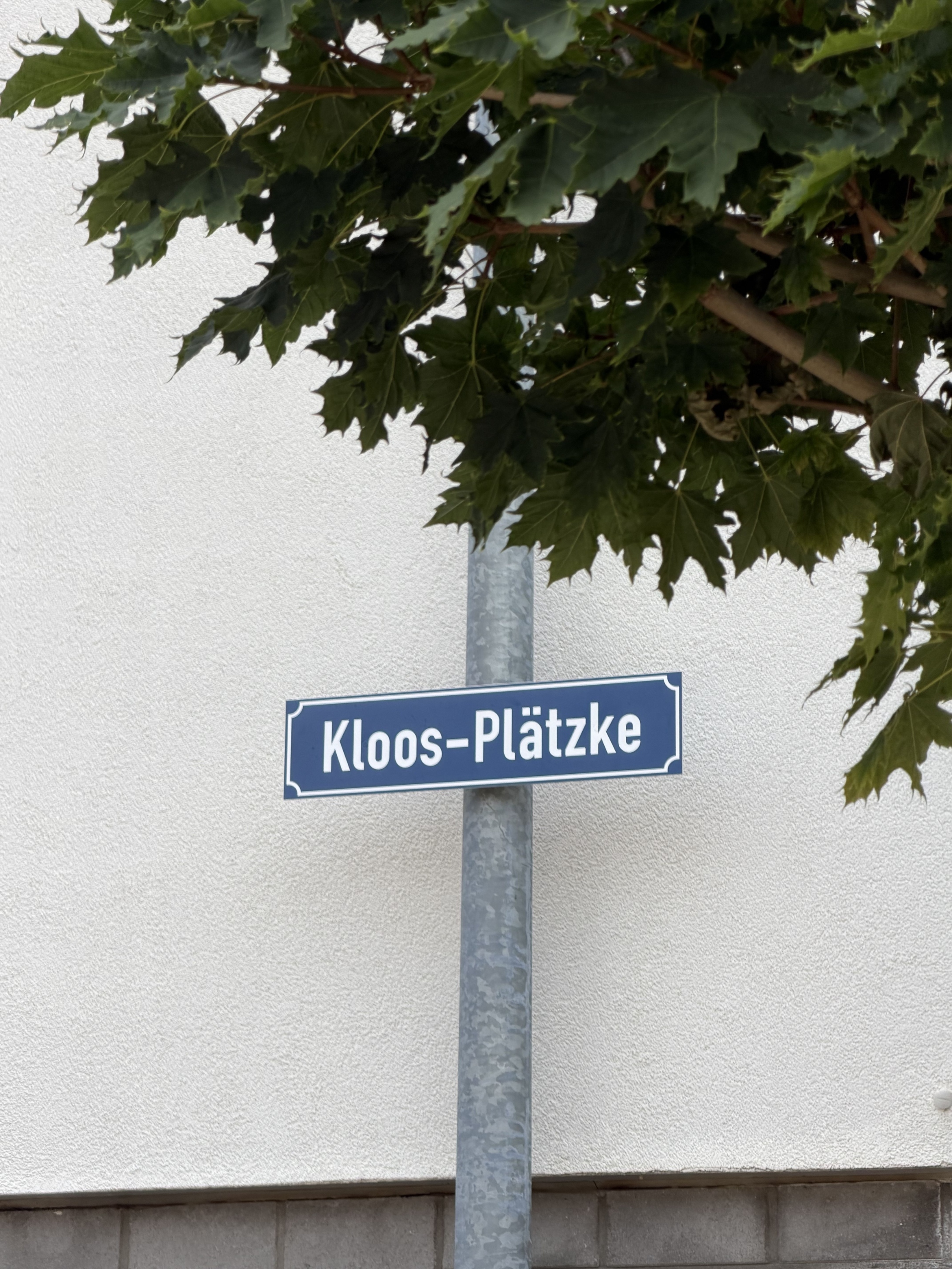 26 06 30 Kloos-Plätzke_1