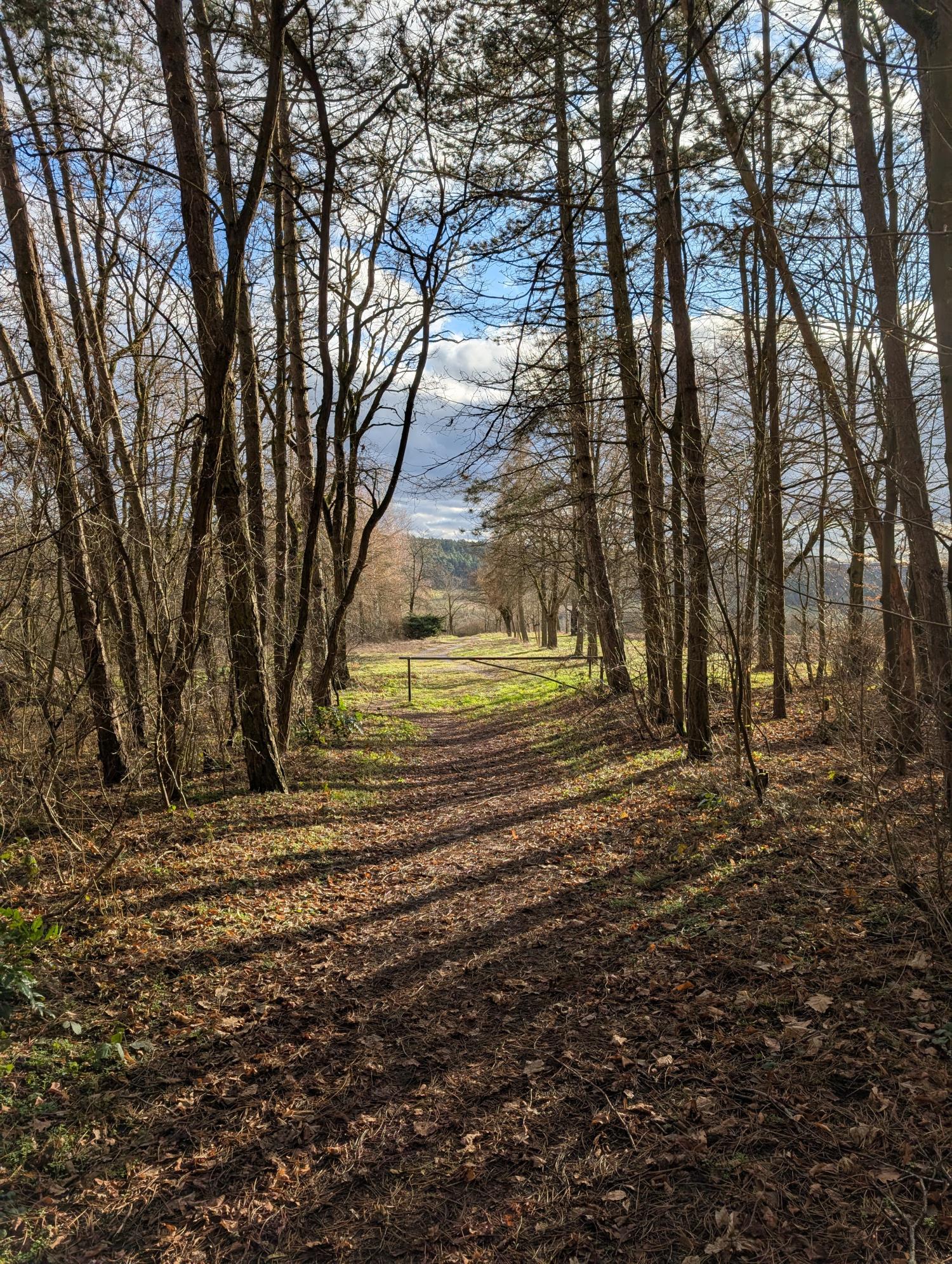 PXL_20250129_140037007_by_Christian-Schmitt_pfarrbriefservice