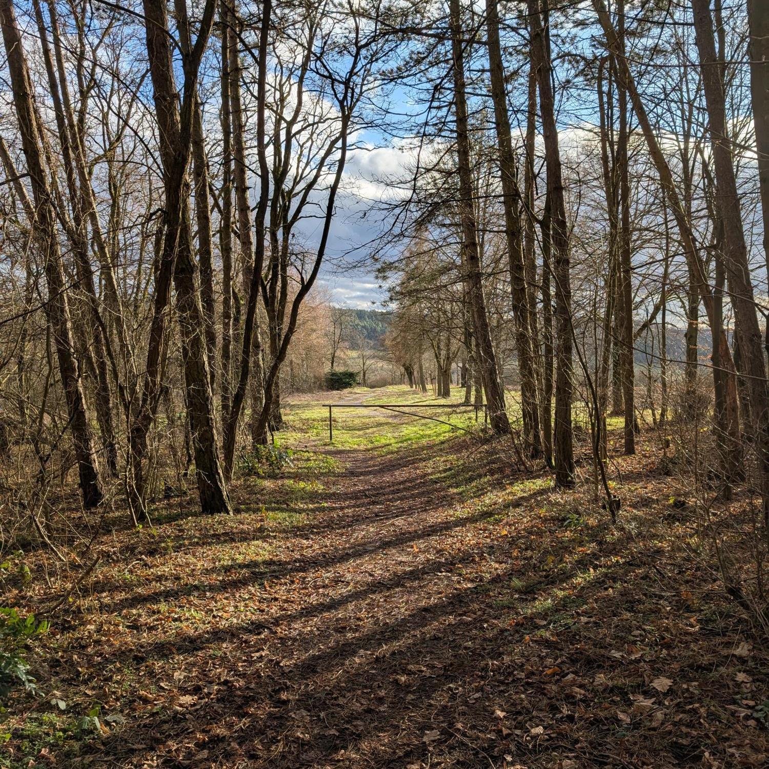 PXL_20250129_140037007_by_Christian-Schmitt_pfarrbriefservice