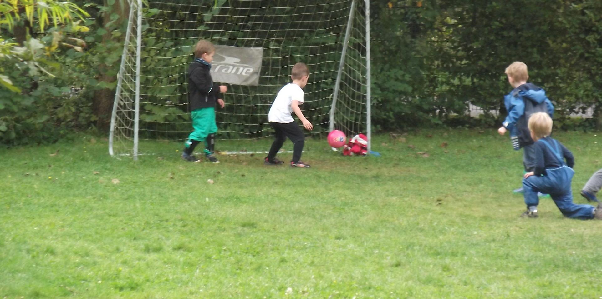 Fußballwiese