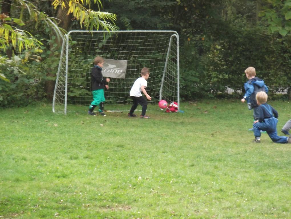 Fußballwiese