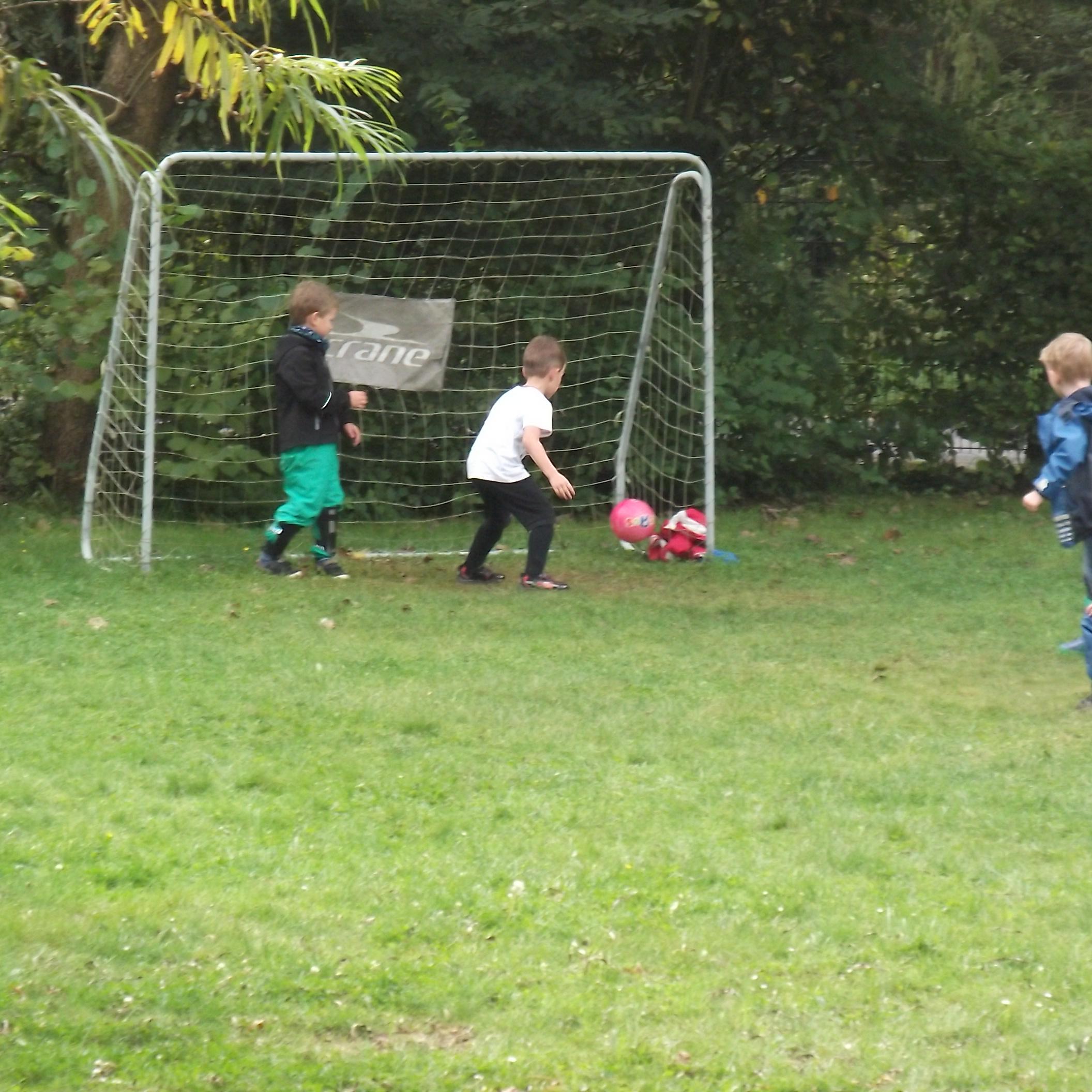 Fußballwiese
