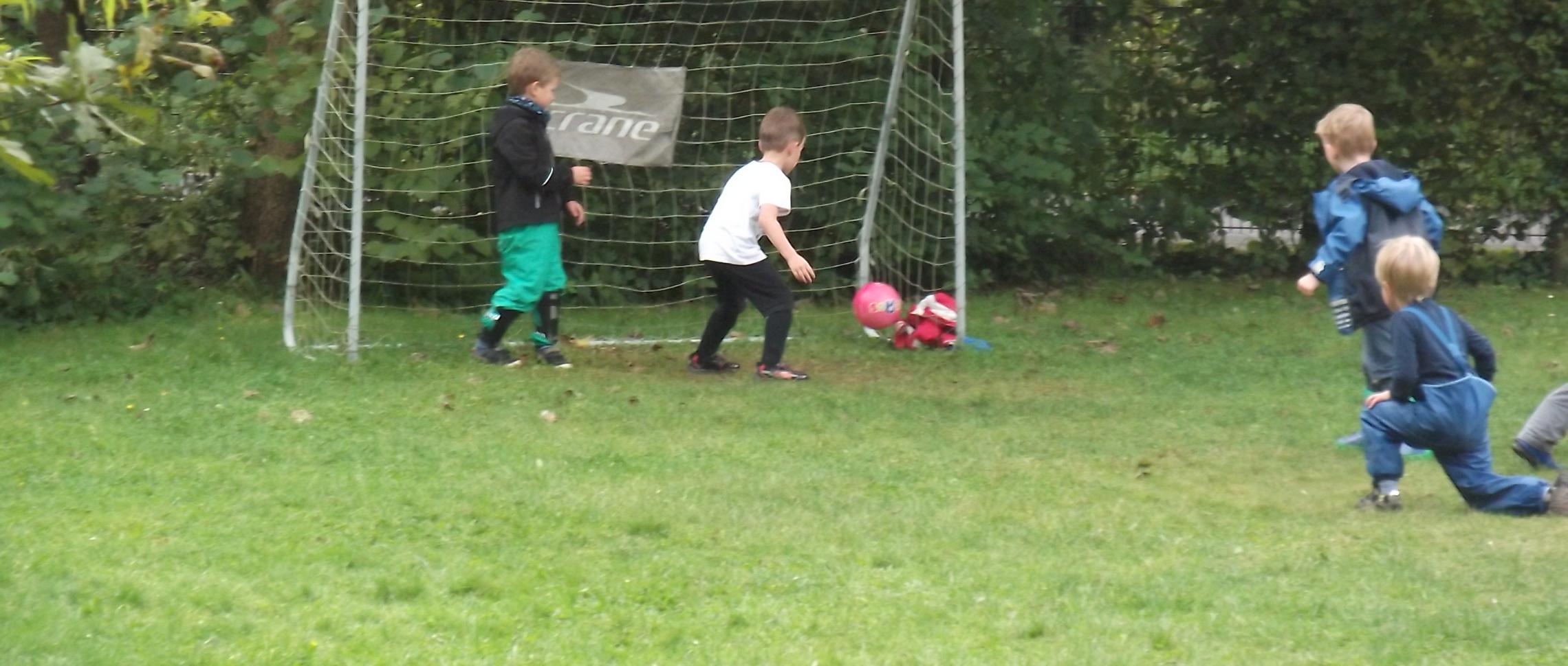 Fußballwiese